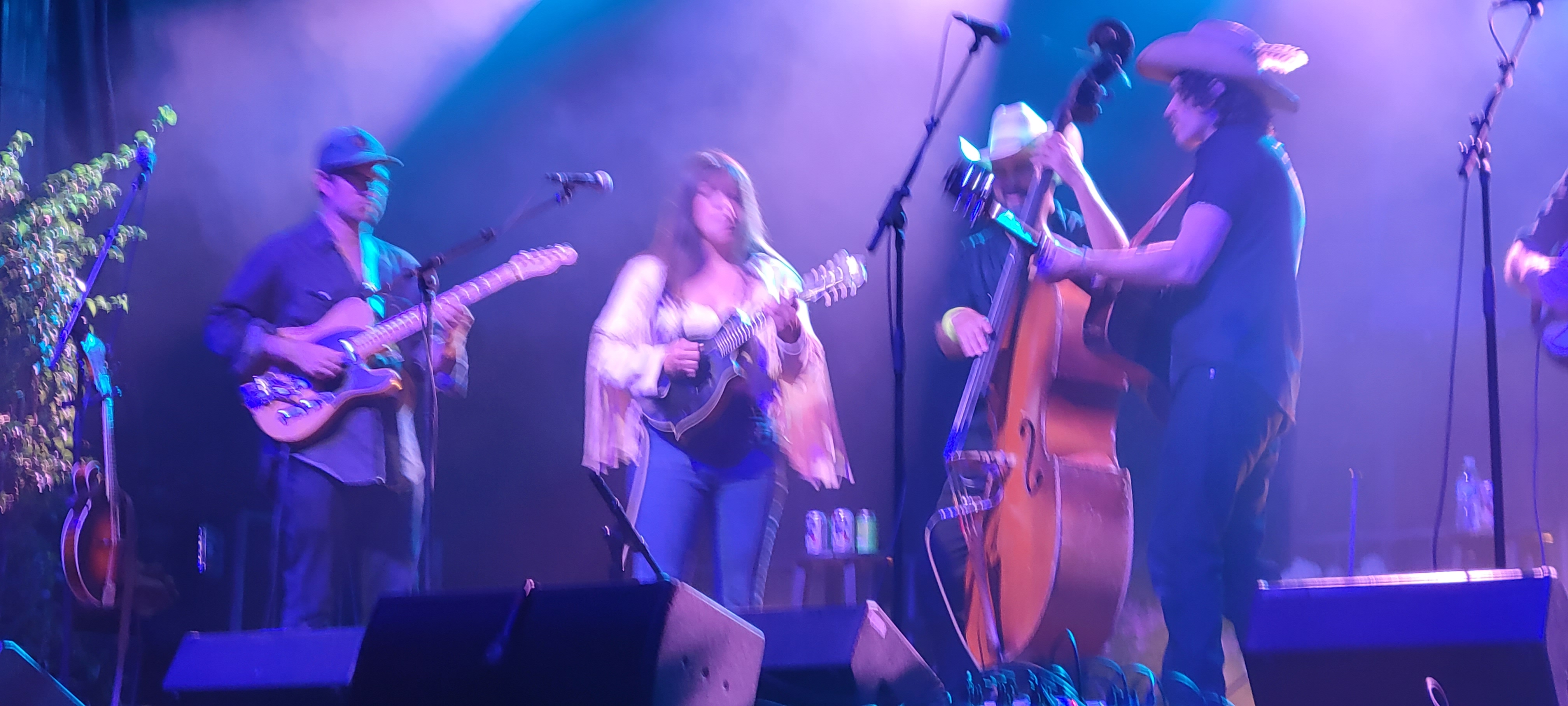 BrothersComatose2024-08-17GreenMountainBluegrassAndRootsFestivalManchesterVT (3).jpg